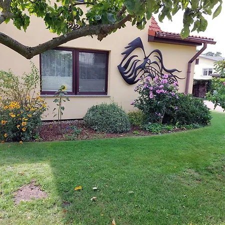 Seeadler Dh-39518 * ルブミン